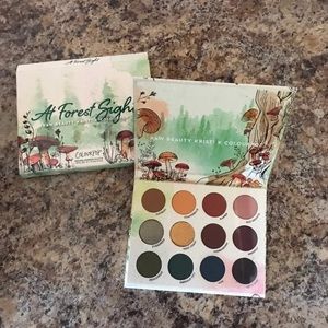 New! Colourpop x RBK "At Forest Sight” Palette